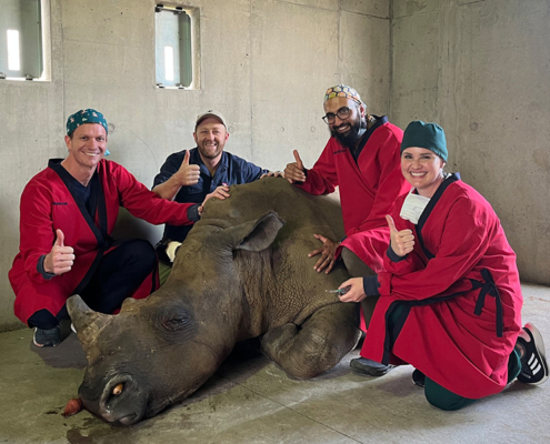 Faculty of Veterinary Science at the University of Pretoria