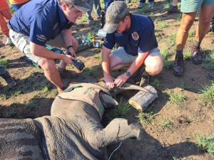 Participants going on the field trip to the Dinokeng Game Reserve will learn how drones and telemetry tracking are used against poaching.