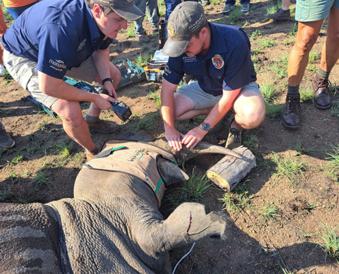 Participants going on the field trip to the Dinokeng Game Reserve will learn how drones and telemetry tracking are used against poaching.