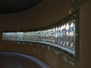 Explore the past at the Origins Centre and the Fossil Vault at the University of the Witwatersrand.