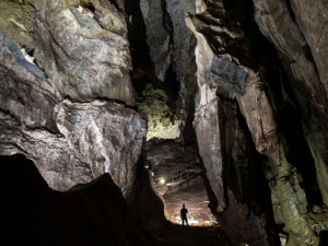 Discover the secrets of early humans in the world-famous Sterkfontein Caves.