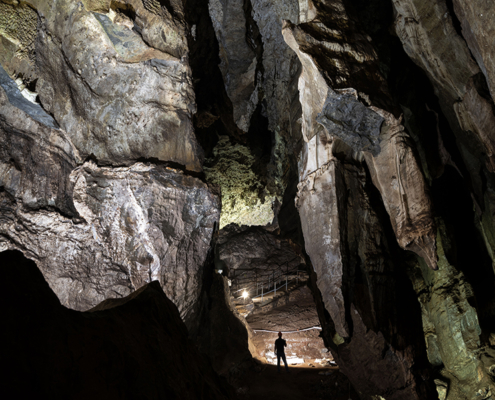 Discover the secrets of early humans in the world-famous Sterkfontein Caves.