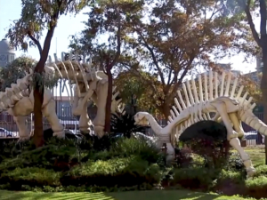 Skeletons of prehistoric animals outside the DITSONG National Museum of Natural History’s main entrance.