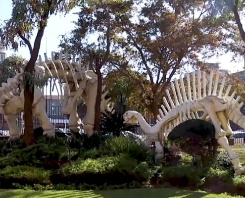 Skeletons of prehistoric animals outside the DITSONG National Museum of Natural History’s main entrance.